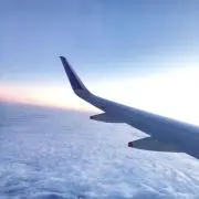 つばさの画像