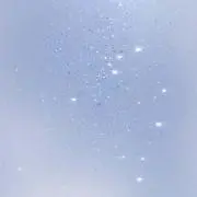 パトリックの画像