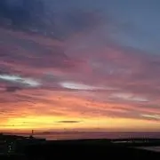 Lavandulaの画像