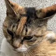 Yu-kaʢᴗ.ᴗʡᶻ無言購入OK