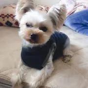 SATOSHI！！！