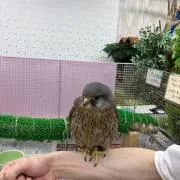 ゆうの画像