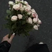Sen☺︎【プロフ必読】更新の画像