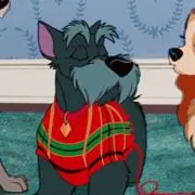ジョックの画像