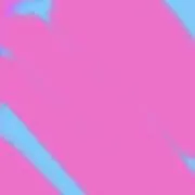 ピンクメロンパン(引越し断捨離)の画像