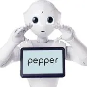 Pepperの画像