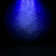 yrdn91の画像