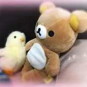Mii♡プロフ必読お願いしますの画像