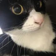 けんじ
