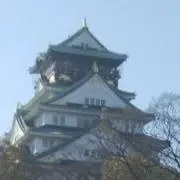 有休の画像
