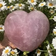 mi❤︎の画像