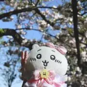 時雨観測_の画像