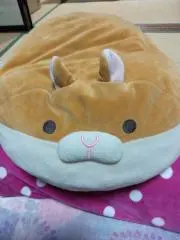 Ａ♪の画像