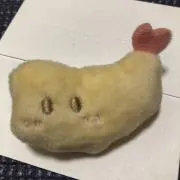 tomoの画像