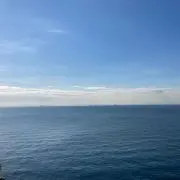 ロールの画像