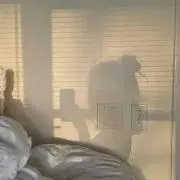 にゃの画像