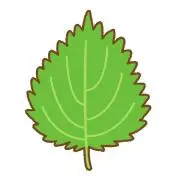 しその画像
