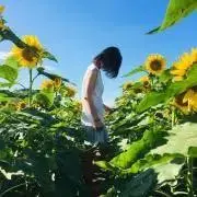 hanaの画像