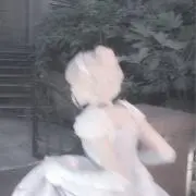 シロの画像