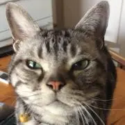 まる店長