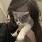すずの画像