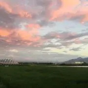 ruru