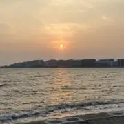 さくさくの画像