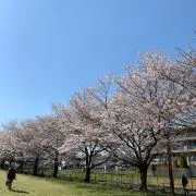 うーたん