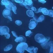 む。の画像