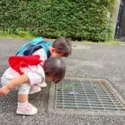 moe