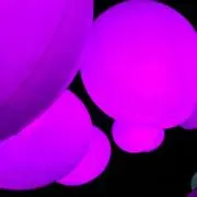 ふみ