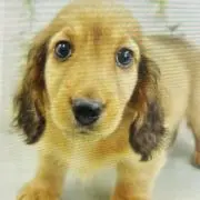 OLIVE プロフ確認の画像