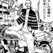 たいがの画像