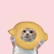 みみみ