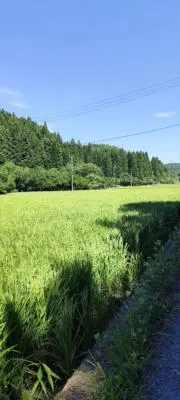 田代の画像