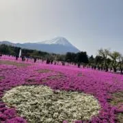 ニッコロ