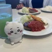 マチの画像