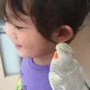 マナミン