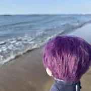 ラムの画像