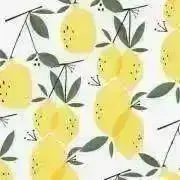 マリア☆の画像