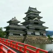 はなこの画像