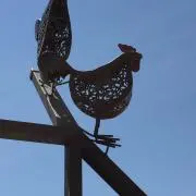 jucoの画像