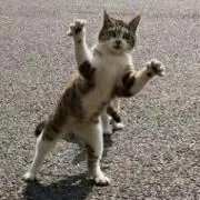名前のない怪物