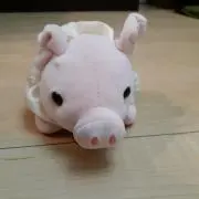 みころ
