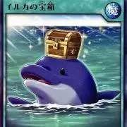 イルカの画像