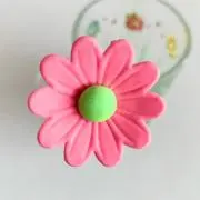ほわいおんの画像