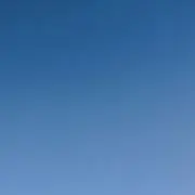 どんの画像