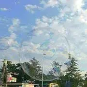 song_for_youの画像