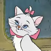 mimiの画像