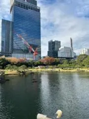 Ryuの画像